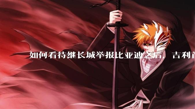 如何看待继长城举报比亚迪之后，吉利首次公开支持长城，广汽也力挺吉利发言，奇瑞说价格战是饮鸩止渴？