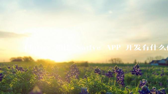 Flutter 相比 Native APP 开发有什么优势?