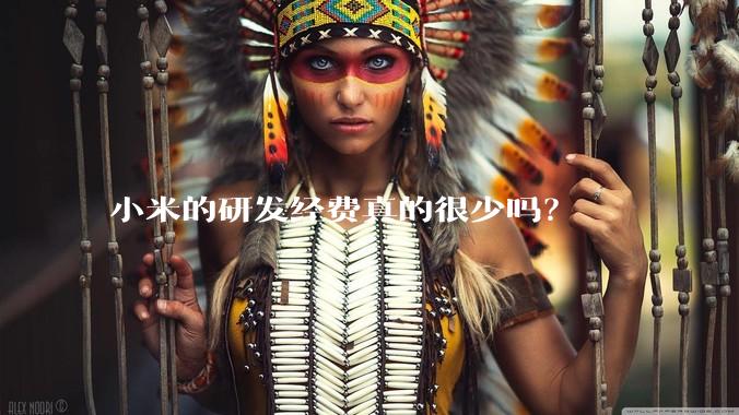 小米的研发经费真的很少吗？