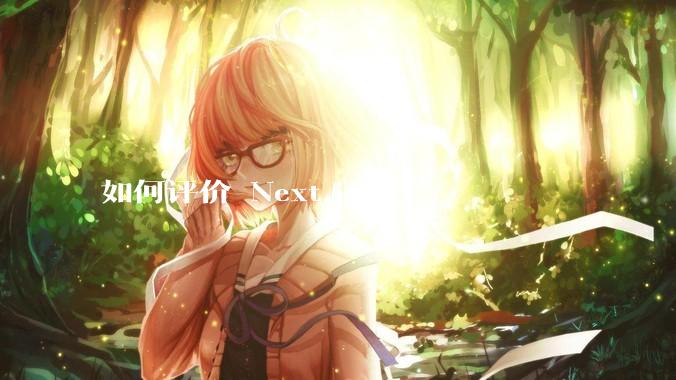 如何评价 Next.js？