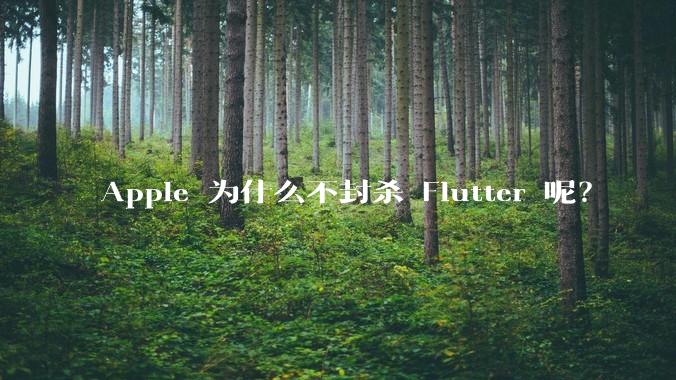 Apple 为什么不封杀 Flutter 呢？