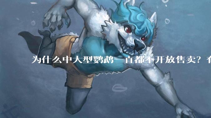 为什么中大型鹦鹉一直都不开放售卖？有哪些原因呢?