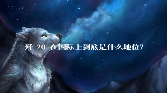 歼-20 在国际上到底是什么地位？