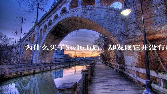 为什么买了Switch后，却发现它并没有那么好玩？